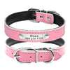 Custom ID - Dog Collars (XS-M)