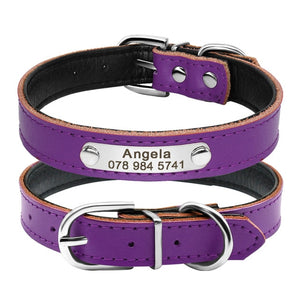 Custom ID - Dog Collars (XS-M)