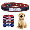 Tommy & Friends - Pet ID Collars (XS-L)