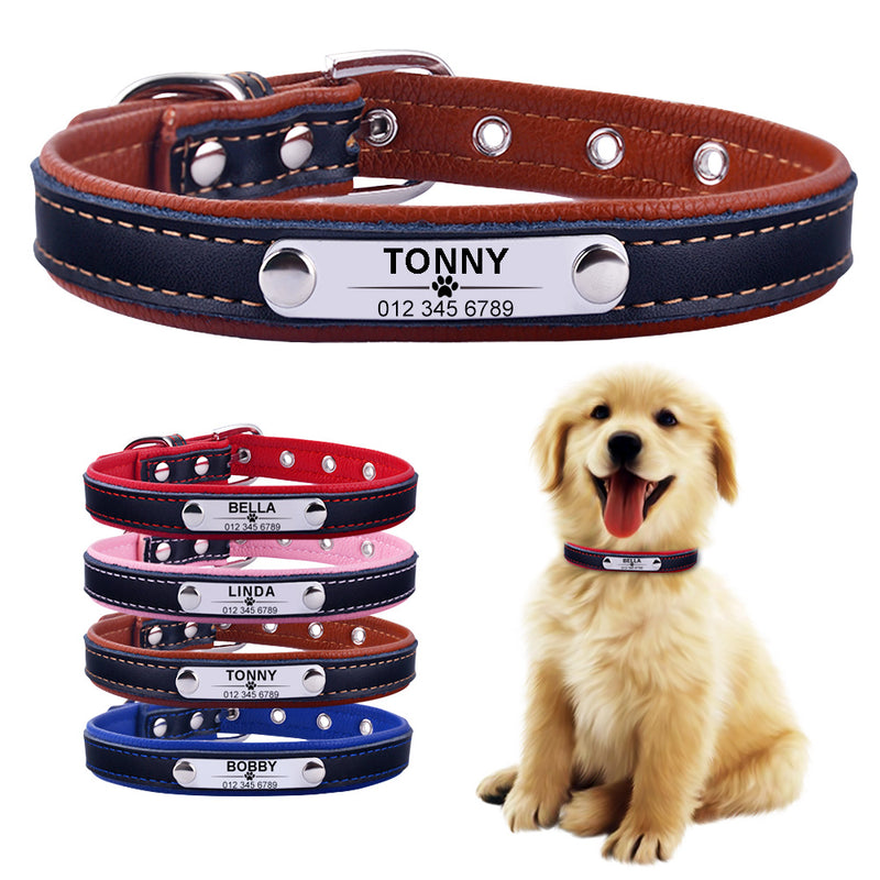 Tommy & Friends - Pet ID Collars (XS-L)