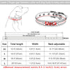 Tommy & Friends - Pet ID Collars (XS-L)