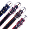 Tommy & Friends - Pet ID Collars (XS-L)