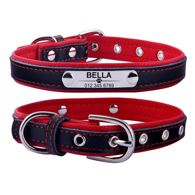 Tommy & Friends - Pet ID Collars (XS-L)
