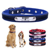 Tommy & Friends - Pet ID Collars (XS-L)