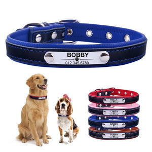 Tommy & Friends - Pet ID Collars (XS-L)