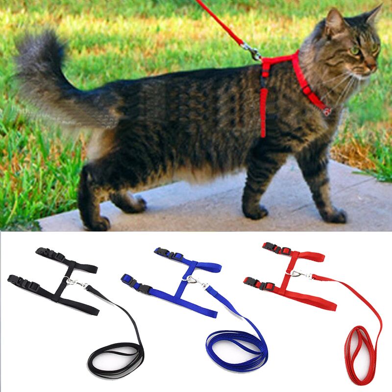 Pet Cat Harness - Cat Lovers (+ Lead)