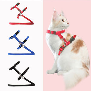 Pet Cat Harness - Cat Lovers (+ Lead)