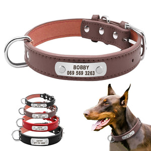 Sturdy Custom ID - Collar (S-XL)