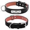 Sturdy Custom ID - Collar (S-XL)