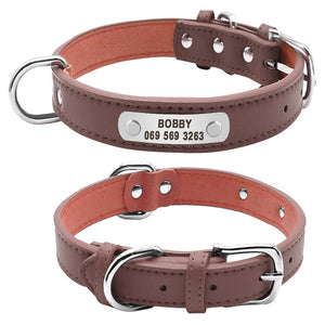 Sturdy Custom ID - Collar (S-XL)