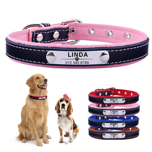 Tommy & Friends - Pet ID Collars (XS-L)