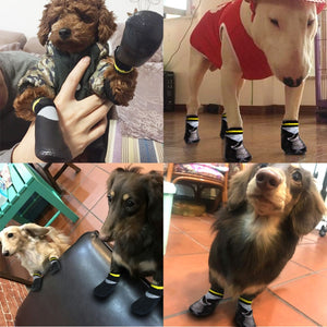 PET Booties (4pcs/set Waterproof)
