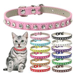 Cool to be Cute - Pet Collars