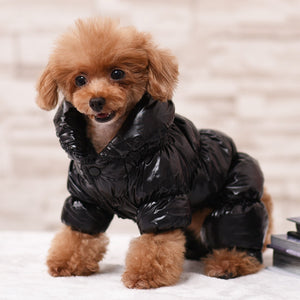 Dazzling Fashion - Pet Coats (S-2XL)