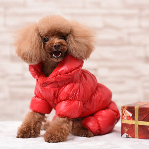 Dazzling Fashion - Pet Coats (S-2XL)