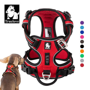 Pet Safety Harness