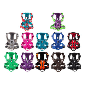 Pet Safety Harness