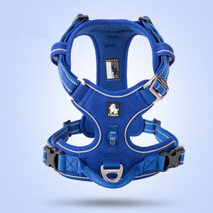 Pet Safety Harness