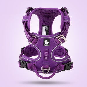 Pet Safety Harness