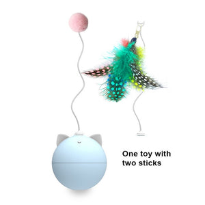 Cat Rolling Toy Ball (Automatic)