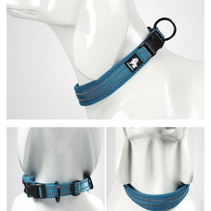 All Season - Reflective Collar