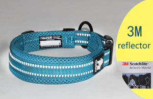 All Season - Reflective Collar