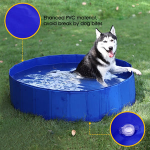 Pet Swimming Pool - Blue