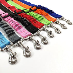 Pet Car - Safety Belt