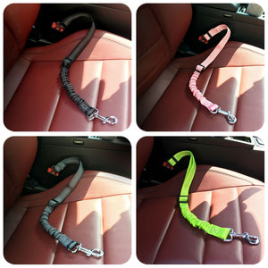 Pet Car - Safety Belt