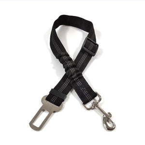Pet Car - Safety Belt