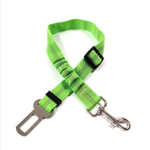 Pet Car - Safety Belt