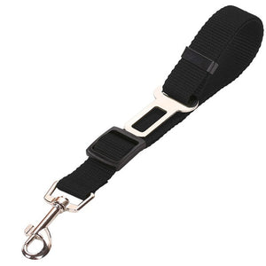 Pet Car - Safety Belt