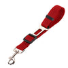 Pet Car - Safety Belt