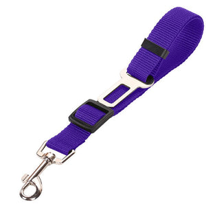 Pet Car - Safety Belt