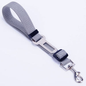 Pet Car - Safety Belt