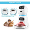 Auto Pet Feeder 4L (USA - DHL Delivery)