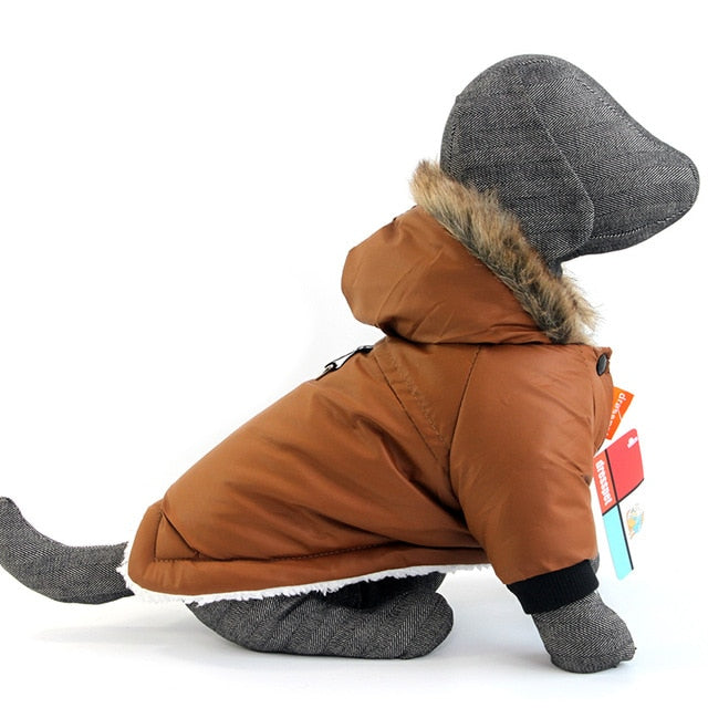 Winter Waterproof - Pet Jacket