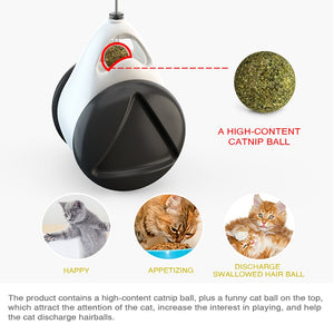 Catnip Ball Toy