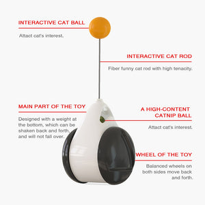 Catnip Ball Toy