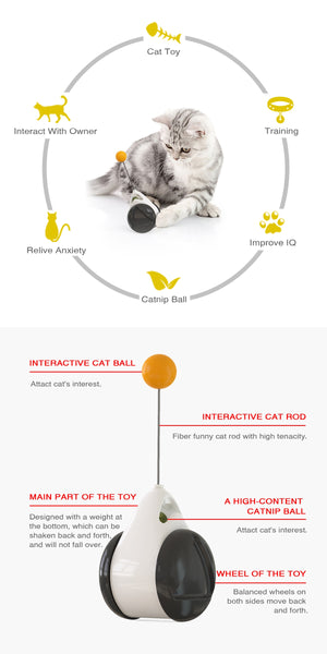 Catnip Ball Toy