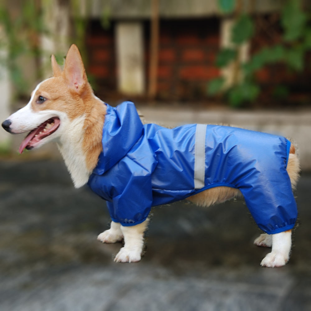 PET Rain-Walker - Raincoat (S-XXL)