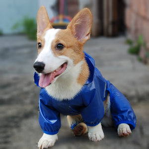 PET Rain-Walker - Raincoat (S-XXL)