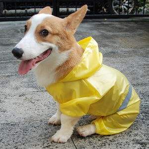PET Rain-Walker - Raincoat (S-XXL)
