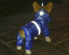 PET Rain-Walker - Raincoat (S-XXL)