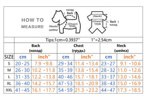 Winter Waterproof - Pet Jacket
