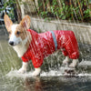 PET Rain-Walker - Raincoat (S-XXL)