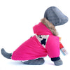 Winter Waterproof - Pet Jacket