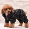 Dazzling Fashion - Pet Coats (S-2XL)