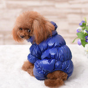 Dazzling Fashion - Pet Coats (S-2XL)