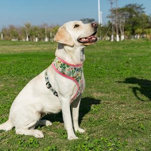 Tropical Pet Harness (S M L XL)